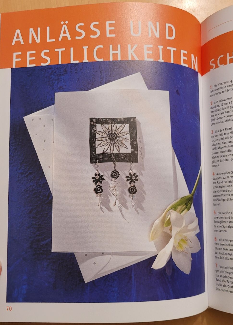Livres: 1x1 kreativ Karten gestalten - TOPP Verlag – Neuf (Voir description) à Madiswil par Laubfleck 4