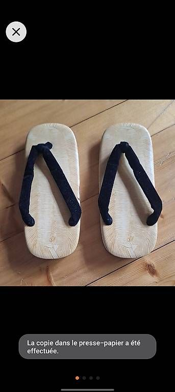Scarpe da uomo: Tongs japonaises – Usato da Eclépens venduto da Shunyam
