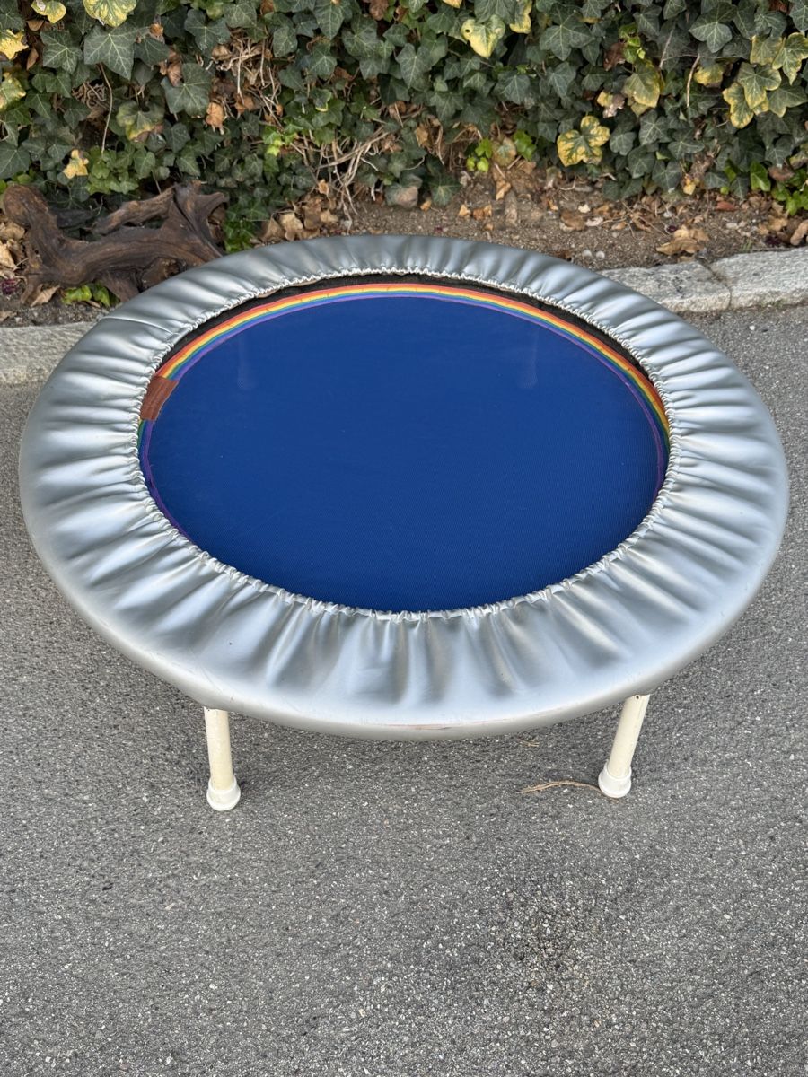 Trampolini: Trampolin REBOUND Model Athletic 102cm – Usato da Konolfingen venduto da petzipetz