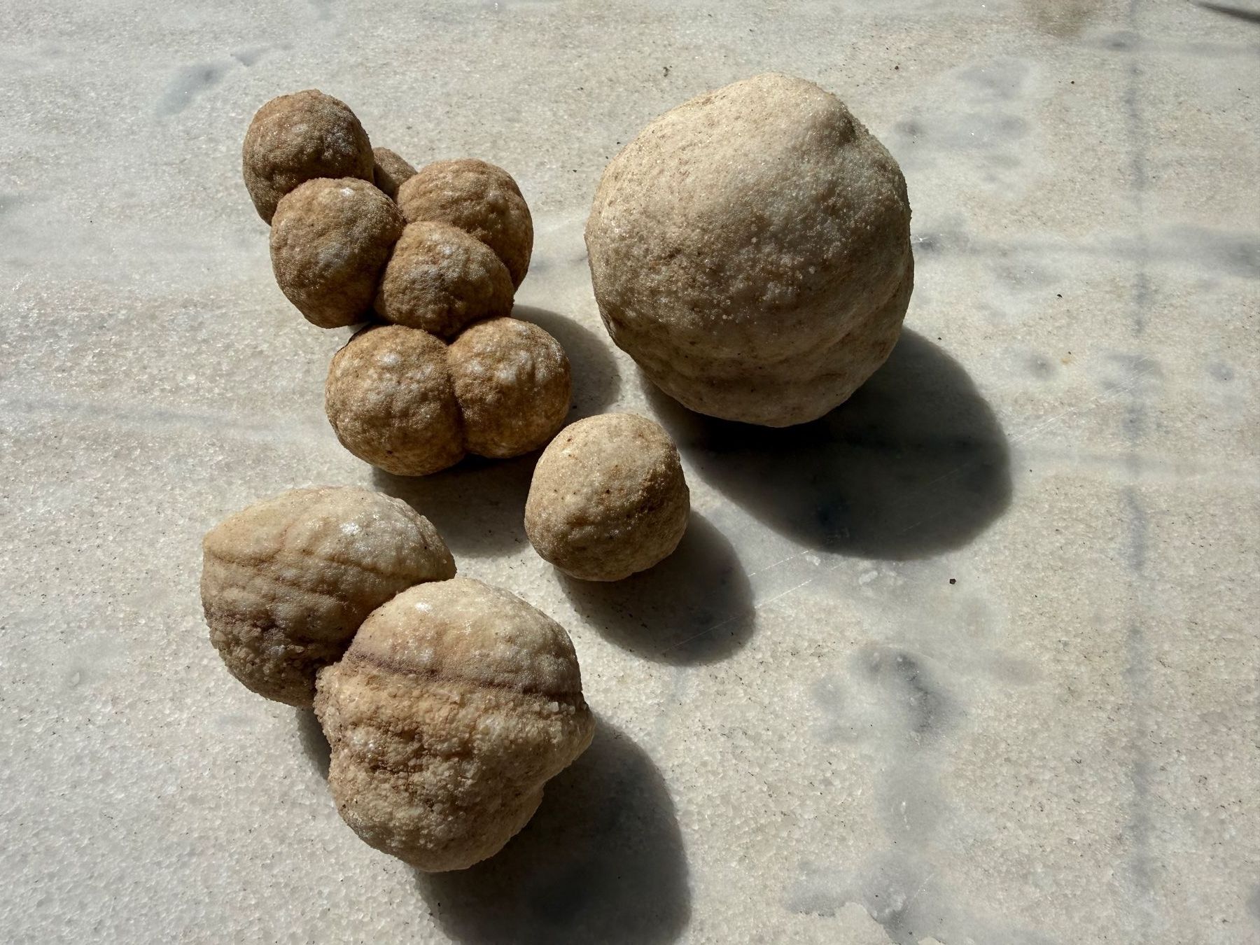 Mineralien & Heilsteine: Fossil Cluster Konkretionen (?) – Gebraucht aus Rorbas von tun_m7fz 9