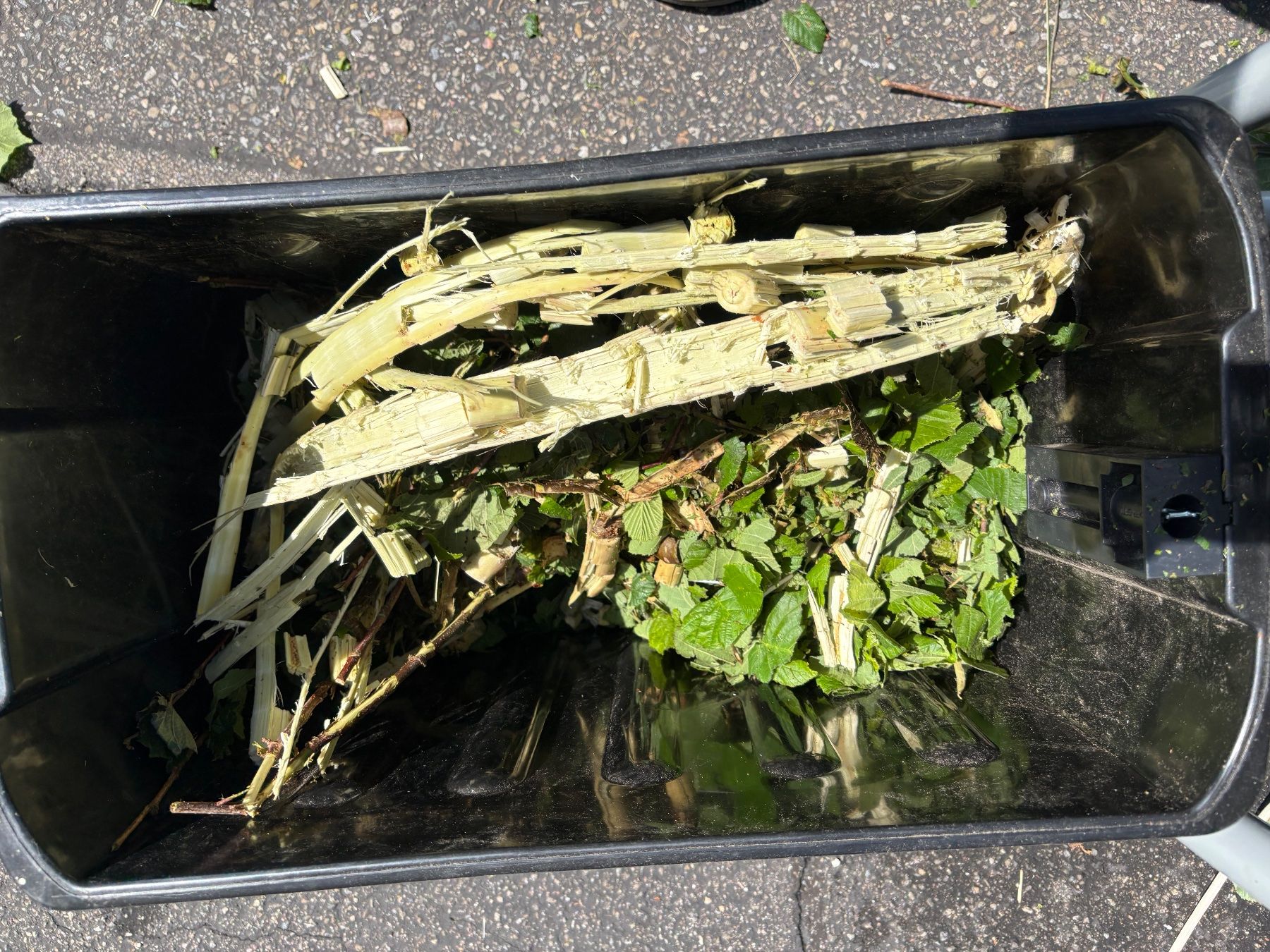 Trinciatrici: OKAY WALZENHÄCKSLER – Usato da Schleinikon venduto da msfwmw2 6