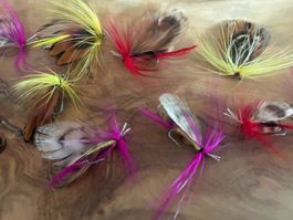12 schöne gebundendene Premium Fliegen - 1.5 CM - neu!!!