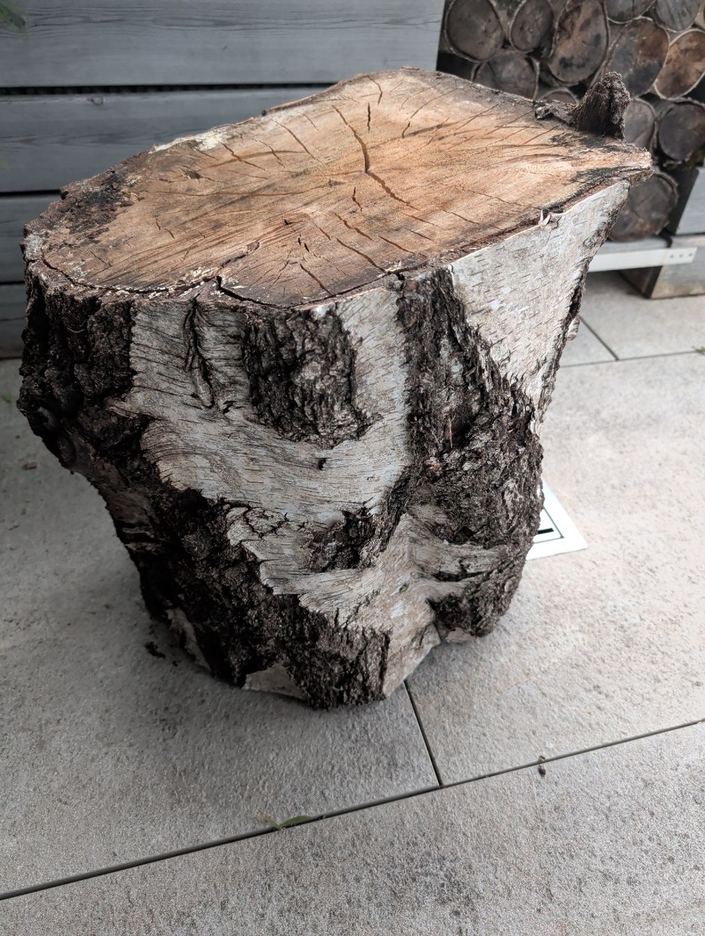 Holzartikel: Baumstamm Birke – Gebraucht aus Unterengstringen von MrBruno81 1