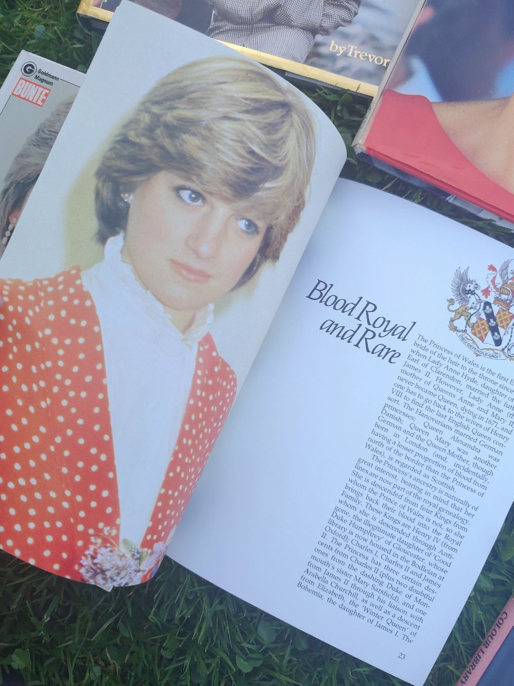 Libri: Princess Diana Books Collection – Usato da Mägenwil venduto da VintageGirly 4