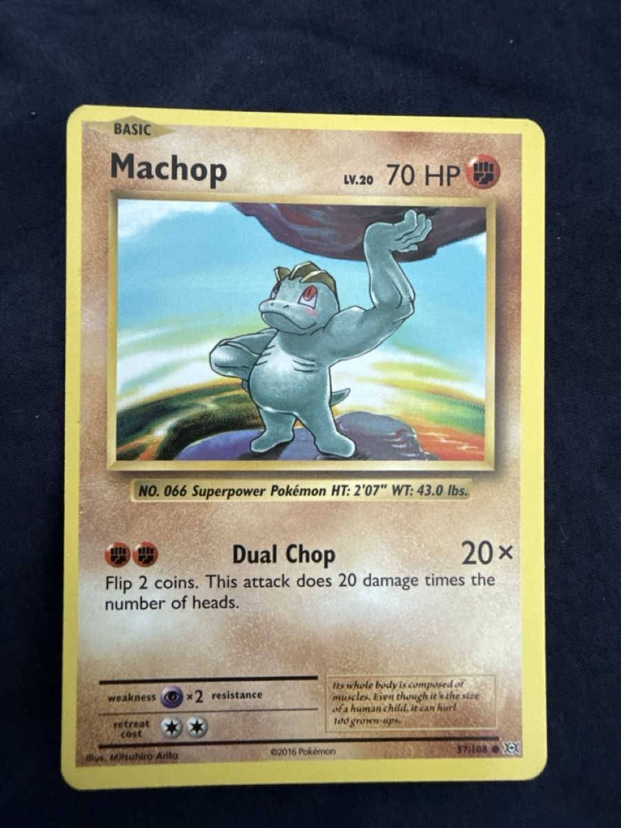 Pokémon Carte collezionabili: Pokemon Machop: 57/108 – Usato da Oberengstringen venduto da sigurros