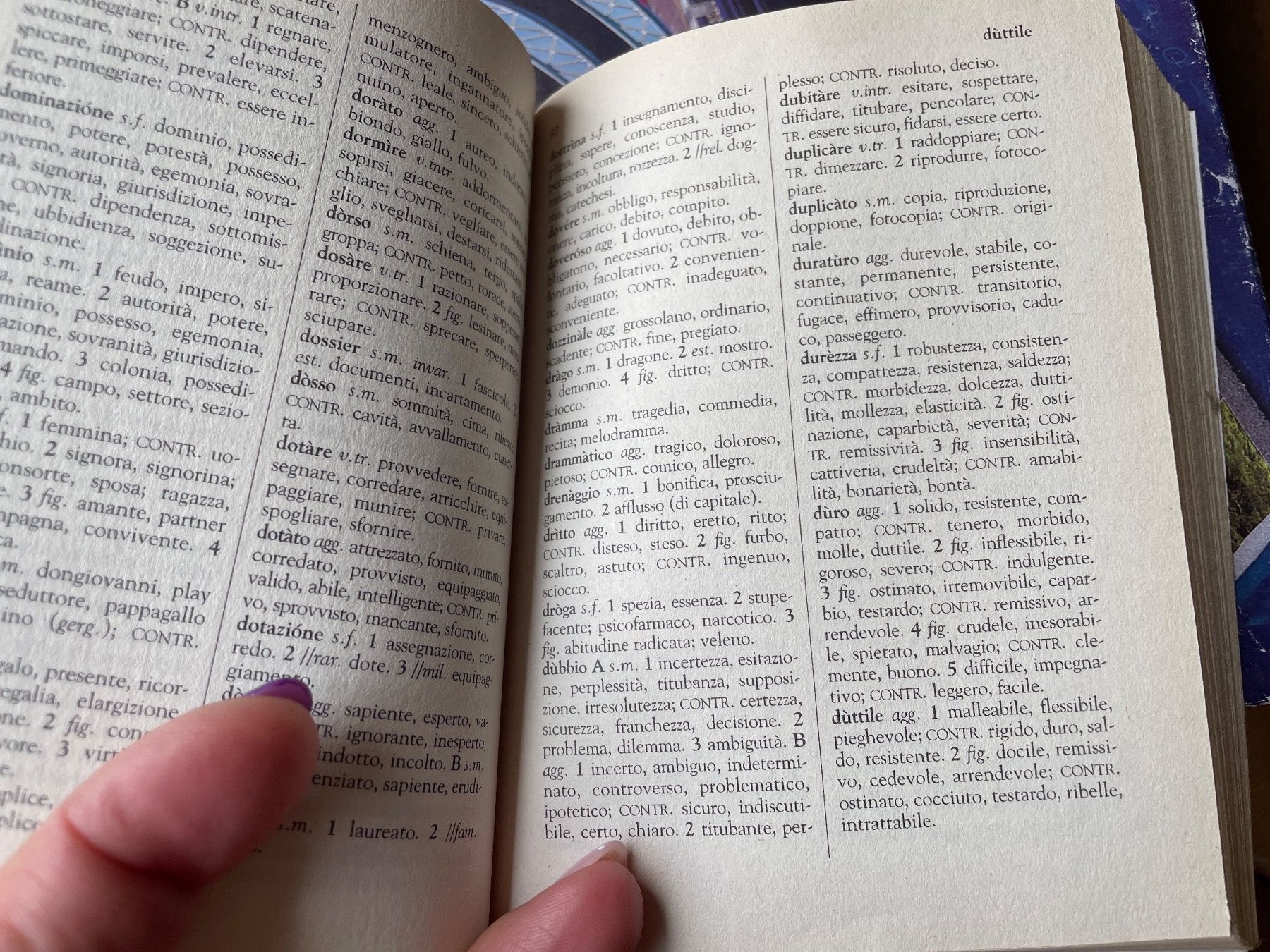 Libri: Dizionario Sinonimi e Contrari – Usato da Bergdietikon venduto da book-4-you 1