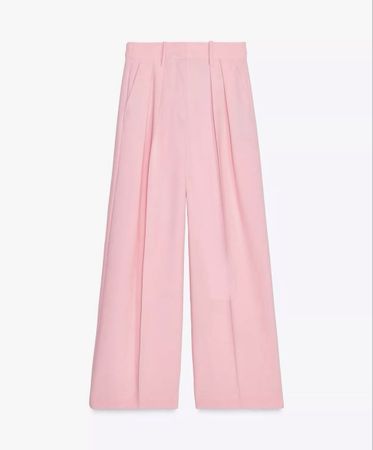 Zara pants