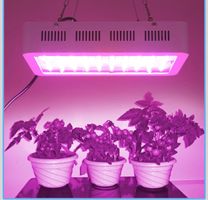 LED Pflanzenlampen 20000 lm AC 85-265 V, Befied Grow Lampe