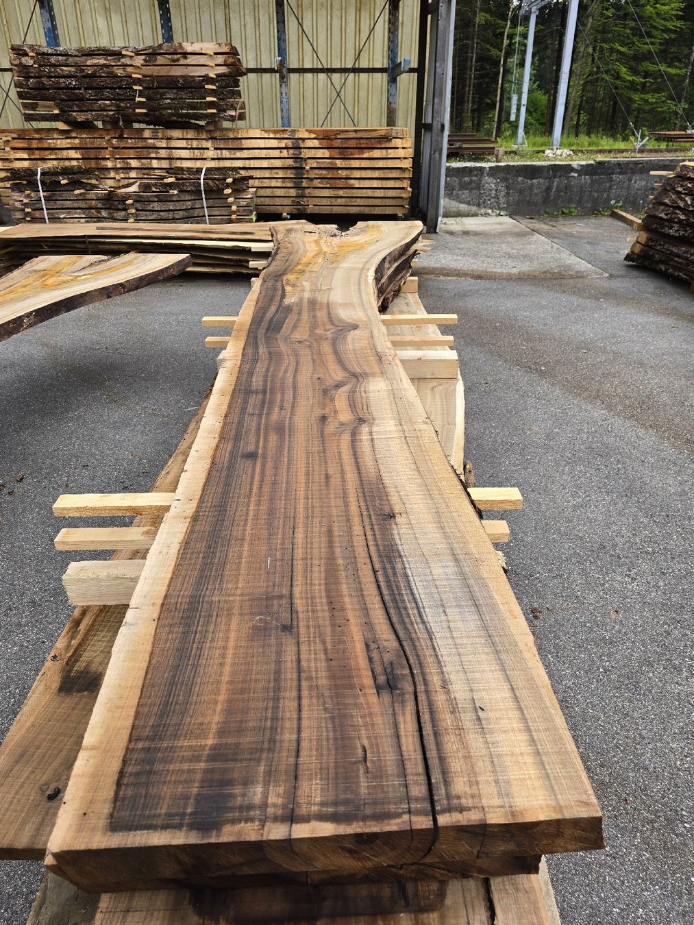 Articoli in legno: Nussbaumstamm – Nuovo (secondo la descrizione) da Ramsei venduto da Waelchris 3