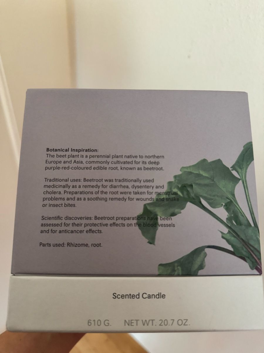 Loewe Kerzen: Medium LOEWE Beetroot Kerze – Gebraucht aus Zürich von MHW23 4