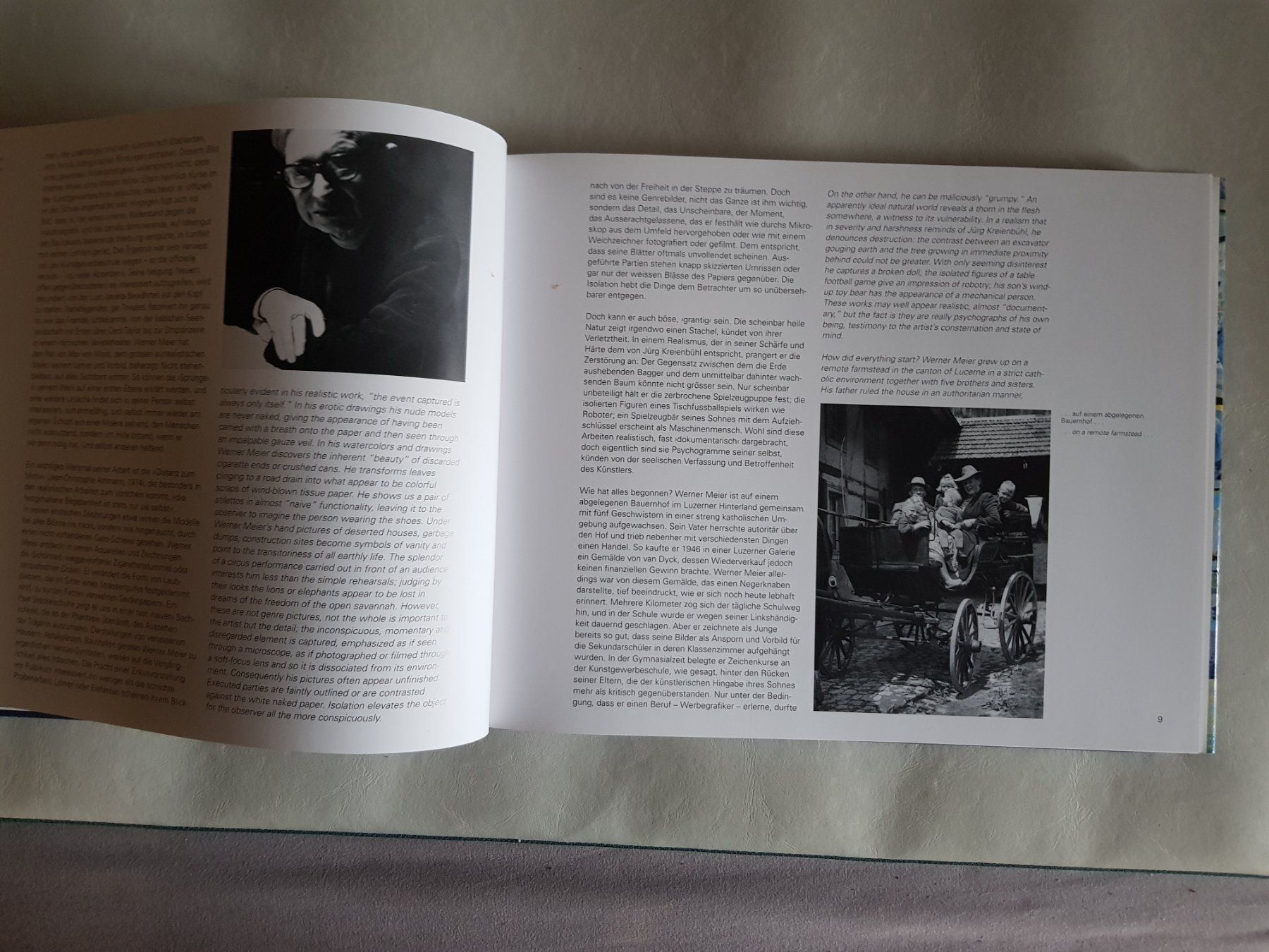 Libri: Buch Werner Meier 1993 – Usato da Walterswil BE venduto da Lonitti 5
