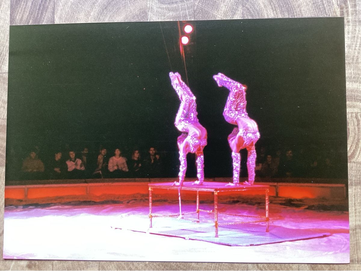 Foto & Immagini: Circus Knie Foto 1990 – Usato da Reichenbach i. K. venduto da astra2010