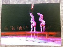 Circus Knie Foto 1990