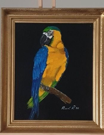 Tableaux: Aqrylbild Papagei – D'occasion à Belp par Liacheyenne
