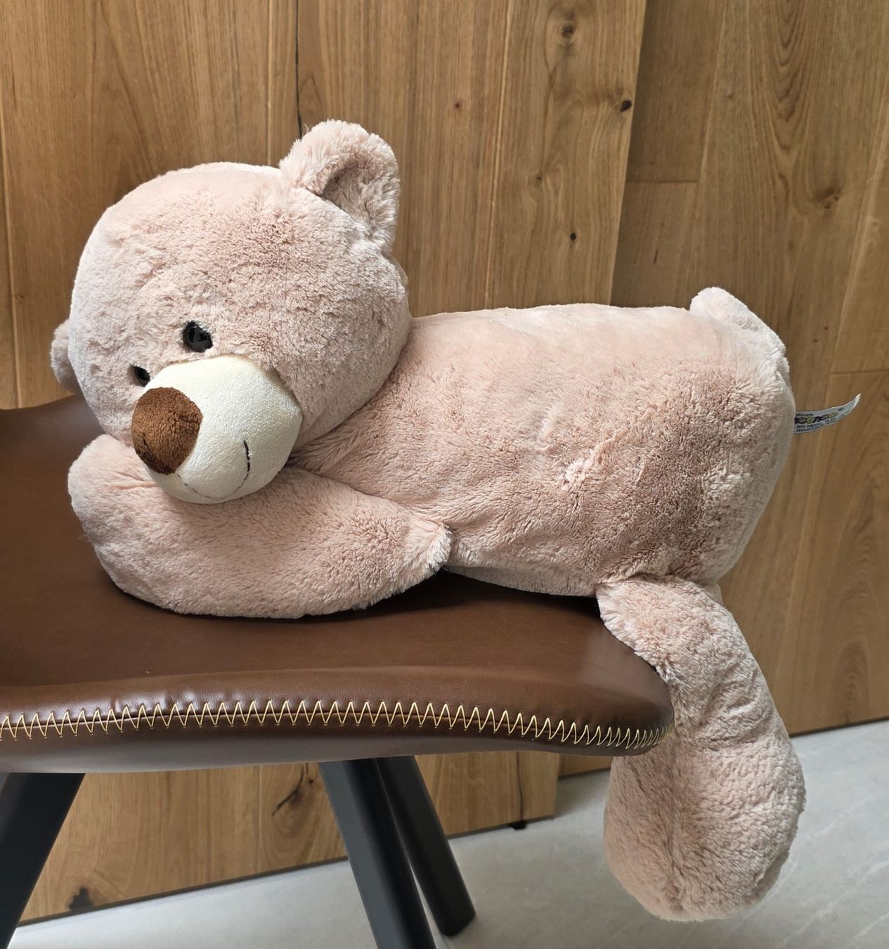Steiff Spielzeuge: Steiff Teddybär rosa  – Neu (gemäss Beschreibung) aus Rheinsulz von Dred 2