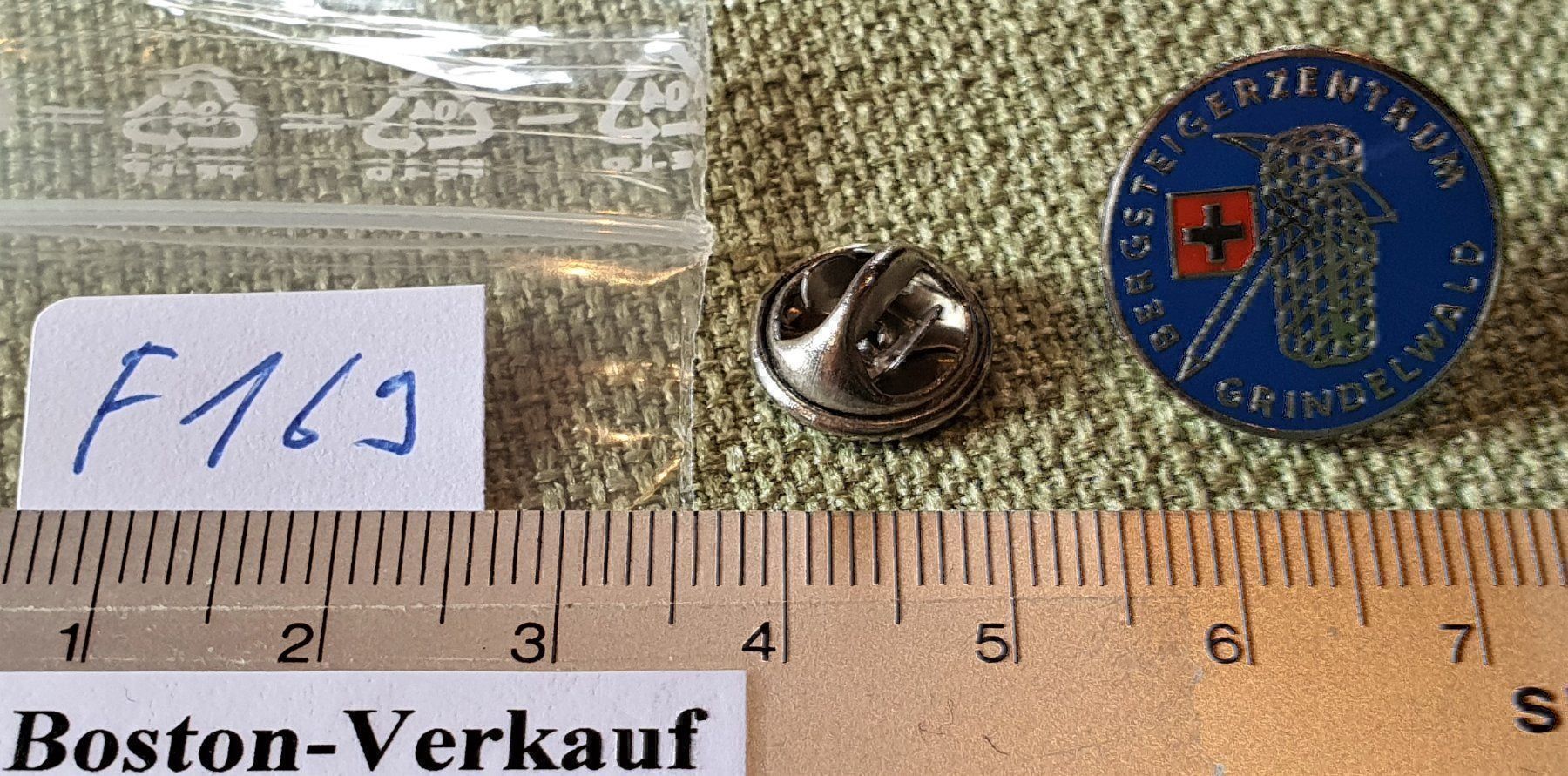 Placchette & Badge: F169  Pin Bergsteigerzentrum Grindelwald – Usato da Reinach BL venduto da Boston-Verkauf 2