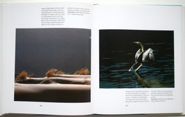 Naturfotografie Pott Eckart Ratgeber Fotografie Natur Tier