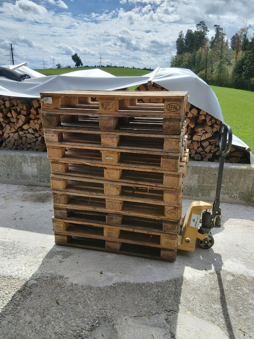 Pallets: Euro Paletten 10 Stk. – Usato da Affoltern am Albis venduto da ret_6x6z
