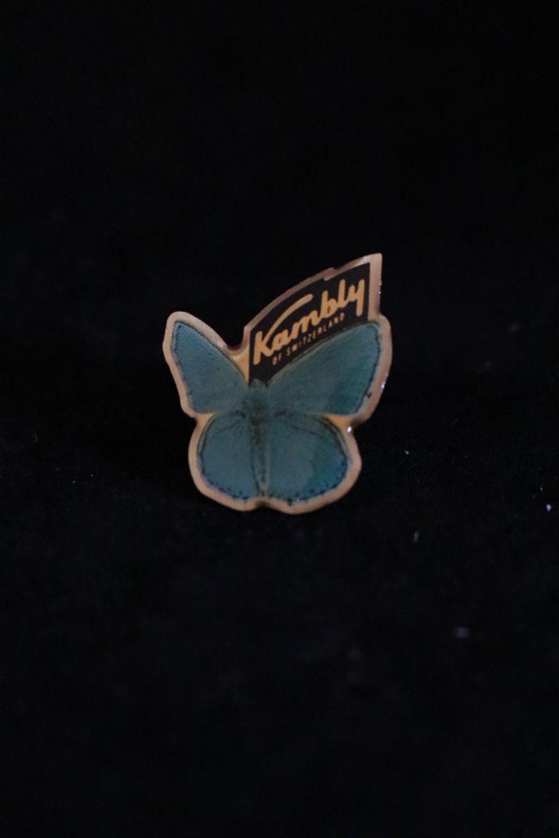 Placchette & Badge: Kambly Schmetterling PIN‘s – Usato da Ottenbach venduto da siiinnaa_77 4
