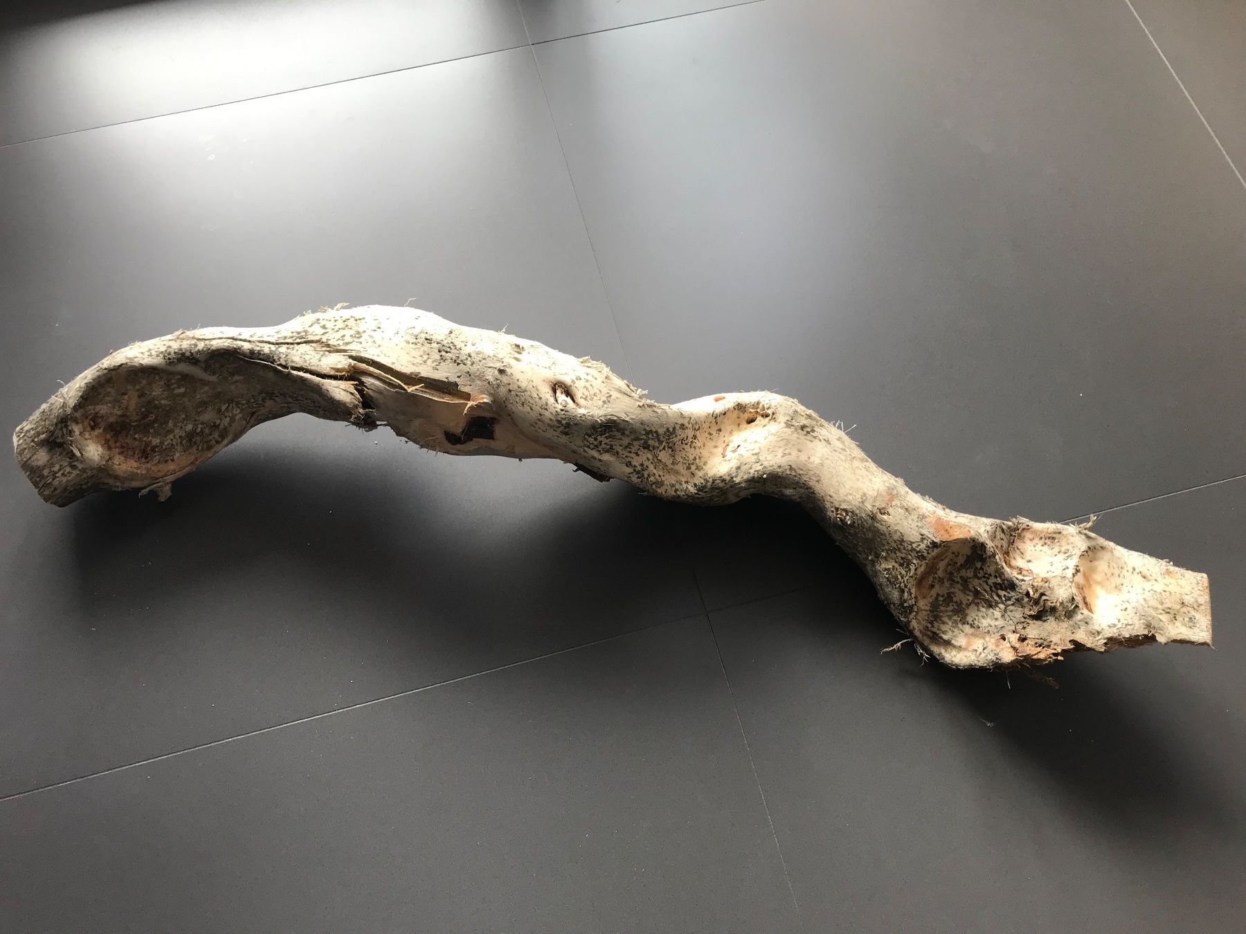 Articoli in legno: Schwemmholz – Nuovo (secondo la descrizione) da Vicosoprano venduto da moikka