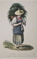 Vaud Waadt Charmey Tracht von Pingret