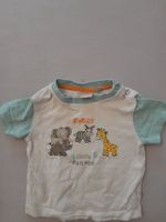 T-Shirt Jungen Grösse 62