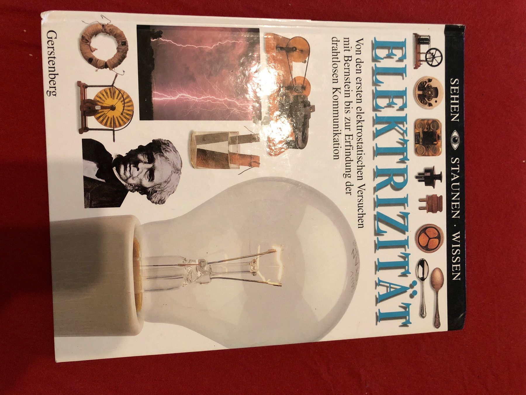 Libri: Buch Elektrizität – Usato da Reichenburg venduto da Tutti81