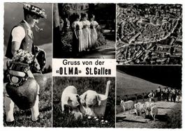 St. Gallen, Gruss von der OLMA, gelaufen 1964
