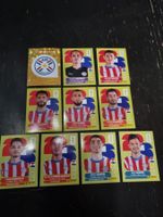 Panoni Sticker Paraguay Set 10 Stk