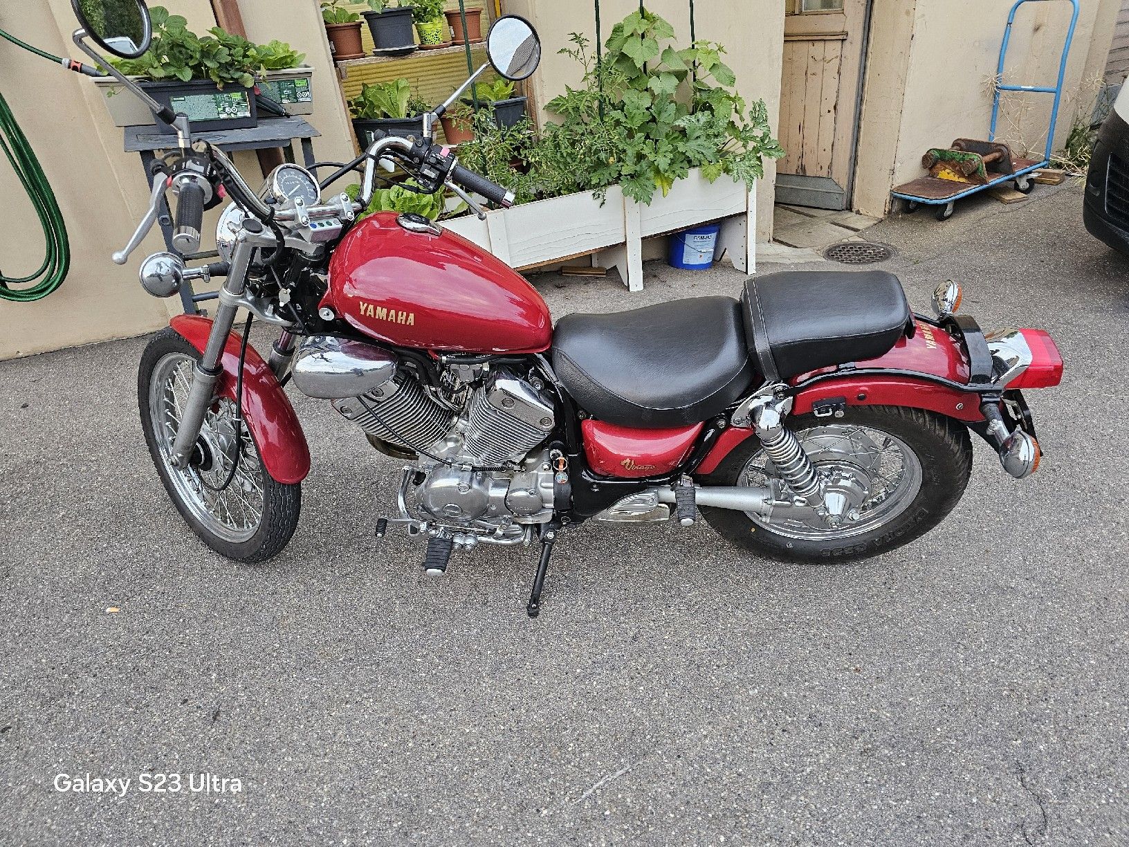 Yamaha Chopper: yamaha virago XV 535 – Usato da Eglisau venduto da California420