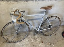 Colnago Vintage Rennvelo