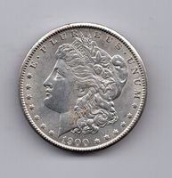 (341) USA, 1 Dollar 1900, top stgl