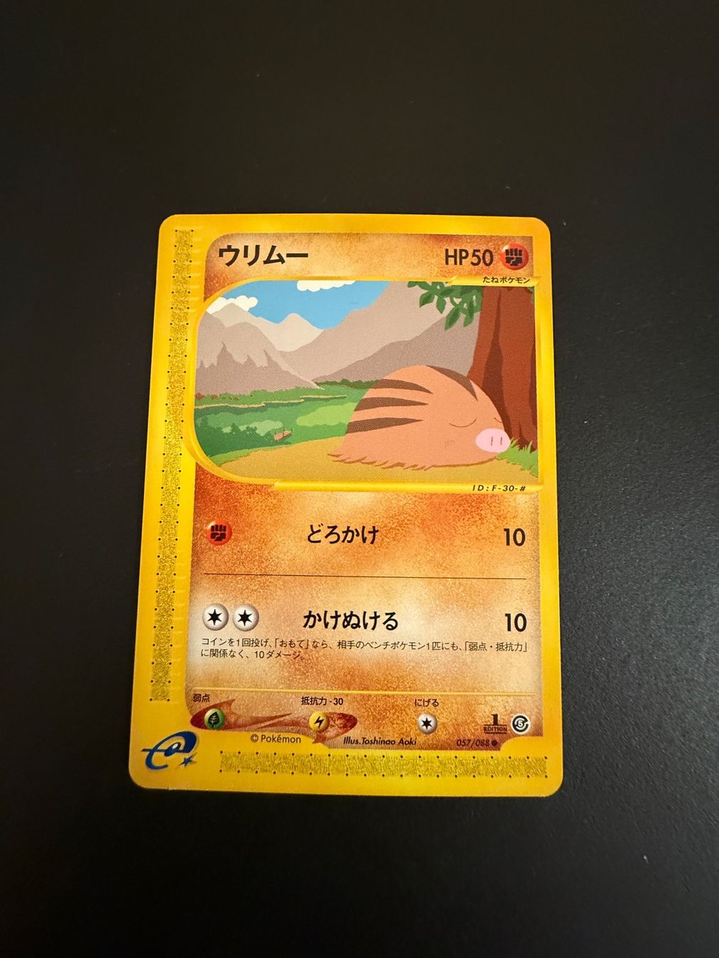 Pokémon Carte collezionabili: SWINUB 057/088 E SERIES E5 MYSTERIOUS MOUNTAINS – Usato da Zürich venduto da pokemon_cards