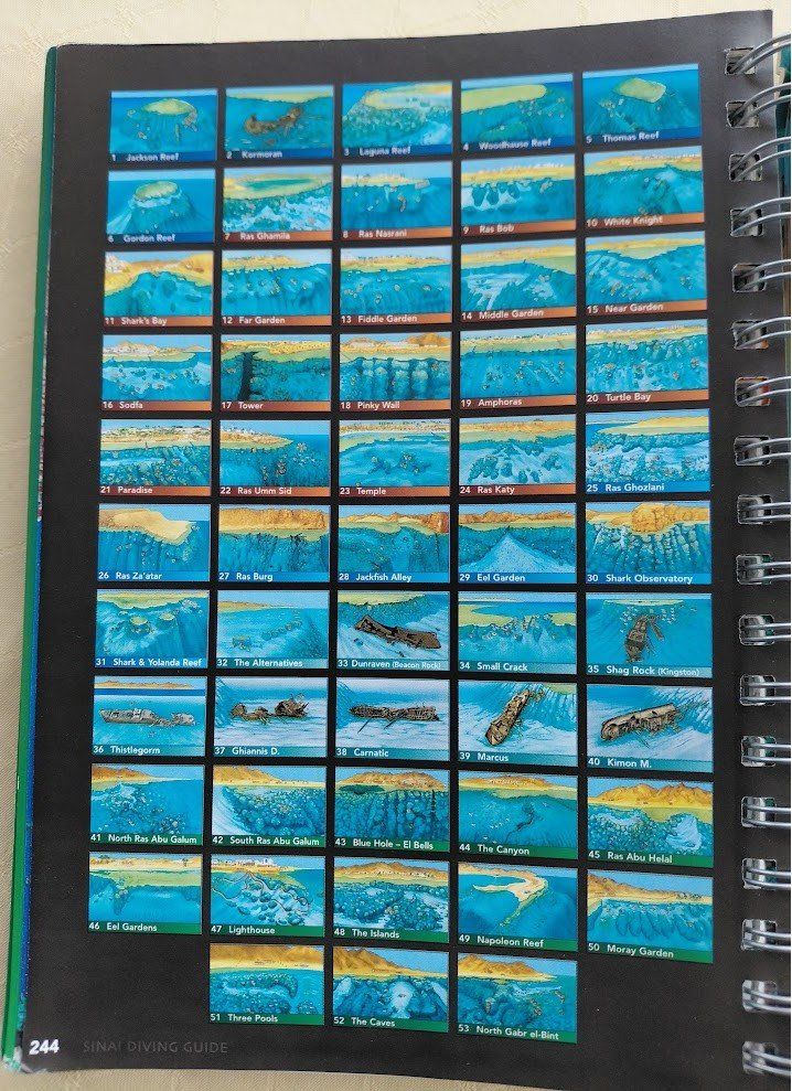 Bücher: TAUCHERBUCH : SINAI DIVING GUIDE – Gebraucht aus Toffen von th16 2