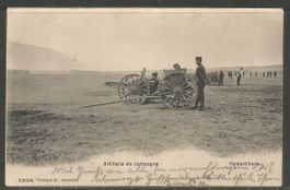 Carte P de 1909 ( Thun / Artillerie de campagne )