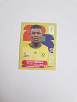 Panini Sticker RSA6