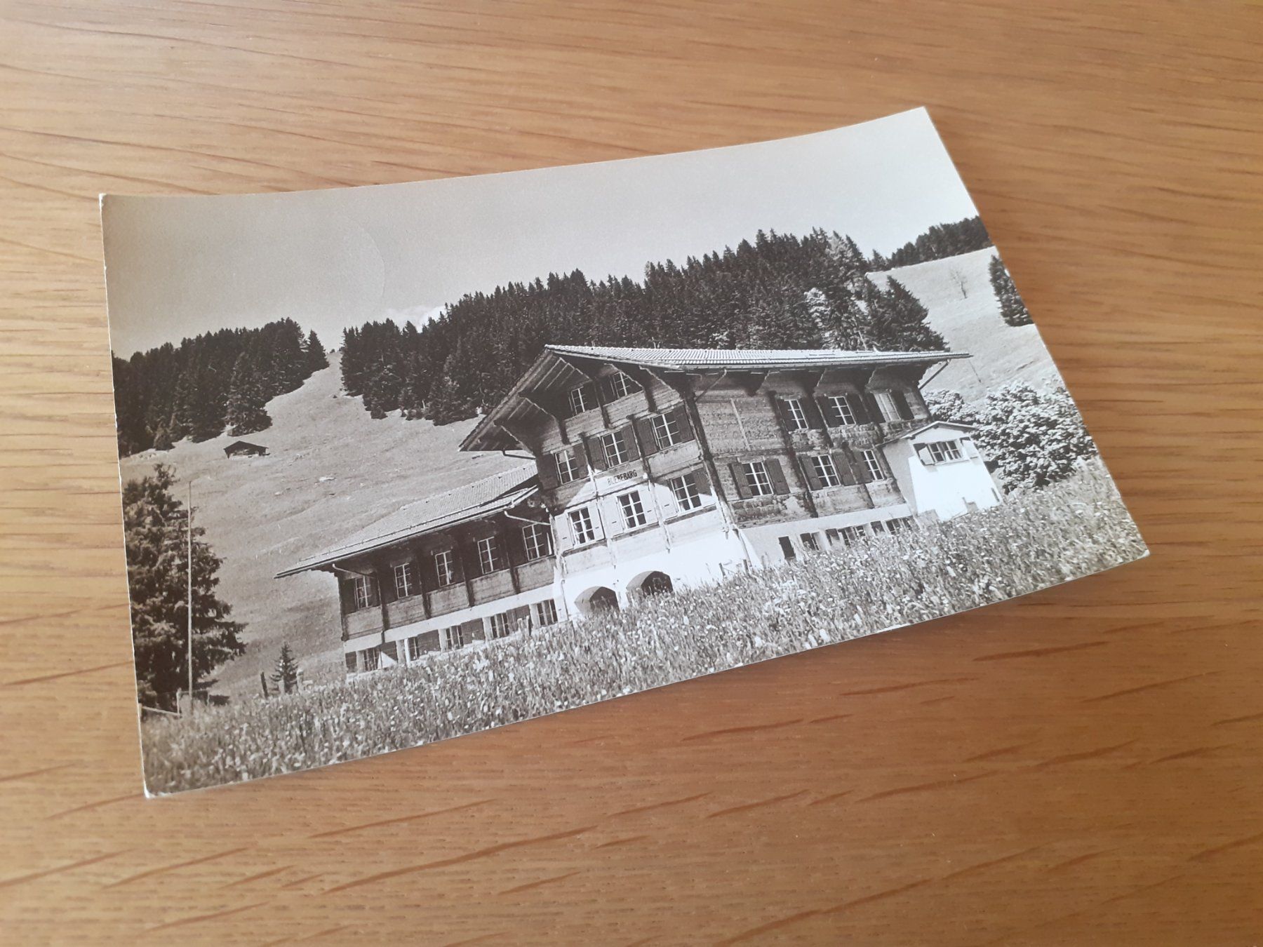 Cartoline postali: SCHOENRIED MOB - 1956 - FERIENHEIM "BUEBEBAERG" – Usato da Winterthur venduto da Ornyx7