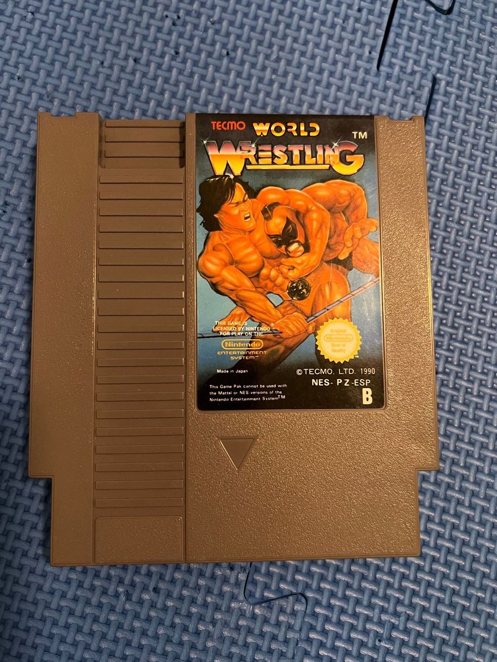 Nintendo Giochi: Tecimo World Wrestling Nintendo Entertainment System NES – Usato da Gossau SG venduto da schlitzerdemon