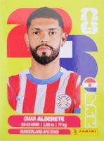 Panini FIFA World Cup PAR 7