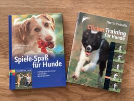 Für Hundehalter: Clicker-Training und Spiele-Spass für Hunde