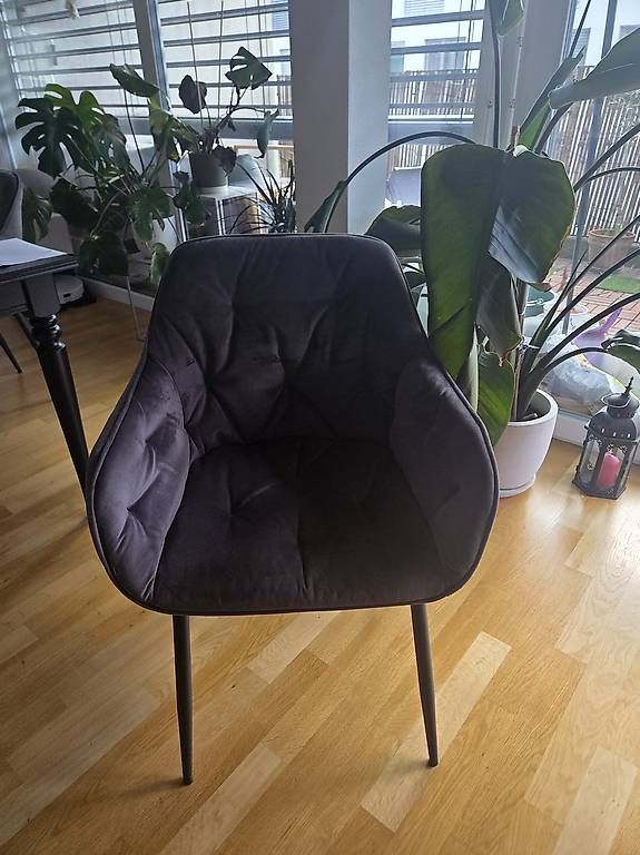 Chaises: Stühle Samt-Grau – D'occasion à Oensingen par Melosh 2