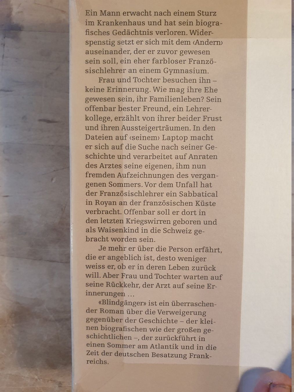 Bücher: Blindgänger Ursula Hasler Limmat – Gebraucht aus Zürich von loosebone 1