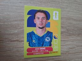 BIH 3
