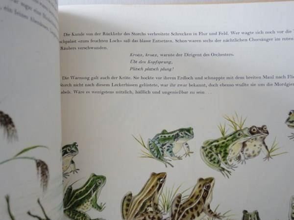 Libri: Familie Langbein - 1951 – Usato da Chur venduto da omonia 9
