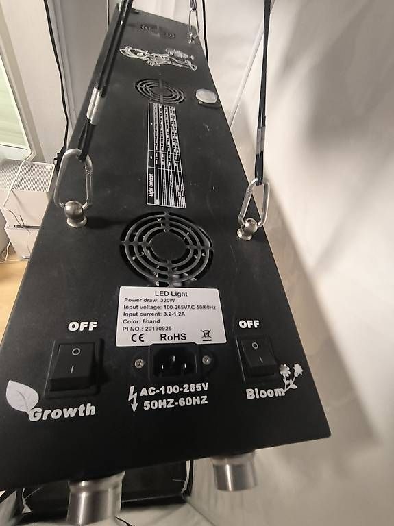 Growbox Altro: Growbox komplett – Usato da Konolfingen venduto da dom_t6m6 4