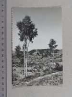 Unterägeri, 1949