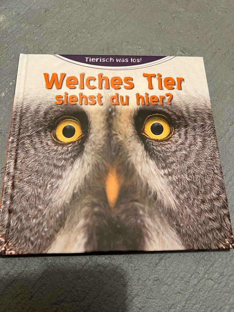 Libri: Welches Tier siehst du hier? – Usato da Hirschthal venduto da rooblue
