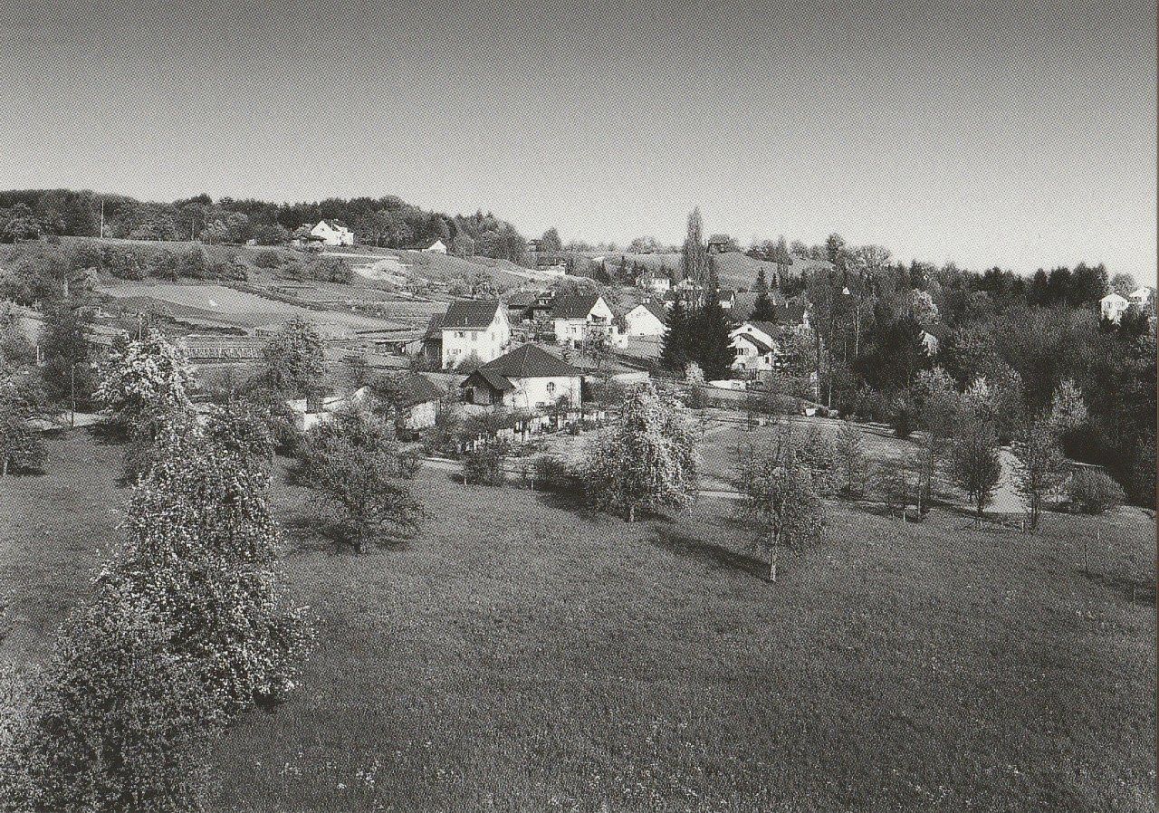 Cartoline postali: Blick auf Humrigen – Usato da Fällanden venduto da Blausegelfliege