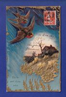 OISEAU - Hirondelles