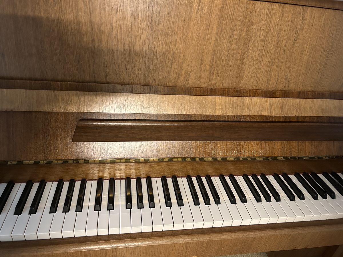 Strumenti musicali: Rieger Kloos Klavier – Usato da Kreuzlingen venduto da cheaferfest 1